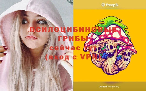 прущие грибы Алзамай