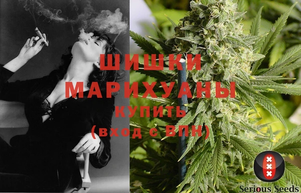 прущие грибы Алзамай