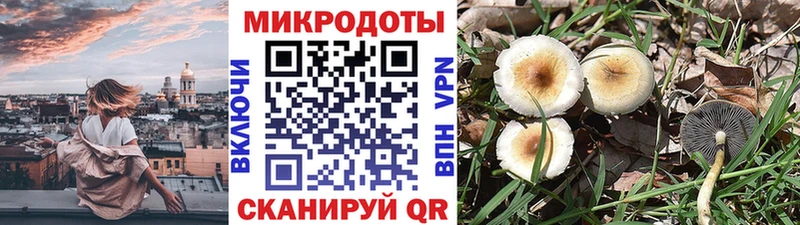 Галлюциногенные грибы Magic Shrooms  kraken   Дзержинск  наркошоп 