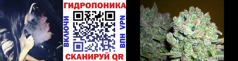 наркошоп  Дзержинск  Шишки марихуана тримм 